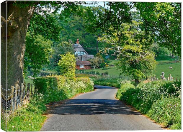 Frensham Lane Cottage Canvas Print by Mark  F Banks