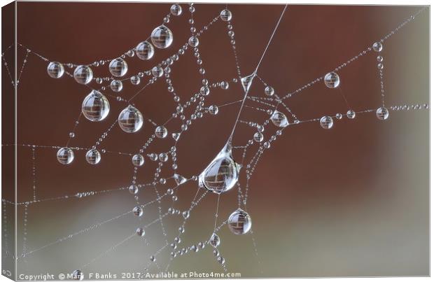 Brick Wall in Dew drops Canvas Print by Mark  F Banks