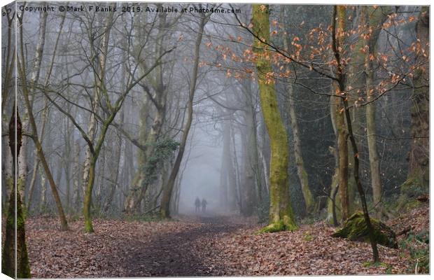Woods with a forgotten past Canvas Print by Mark  F Banks