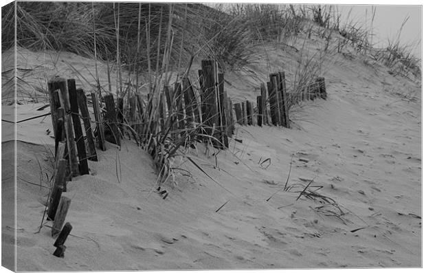 Deserted old fence Canvas Print by david tucker