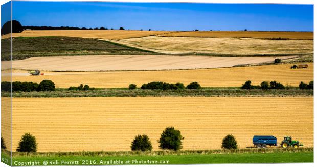 Avebury Harvest Canvas Print by Rob Perrett