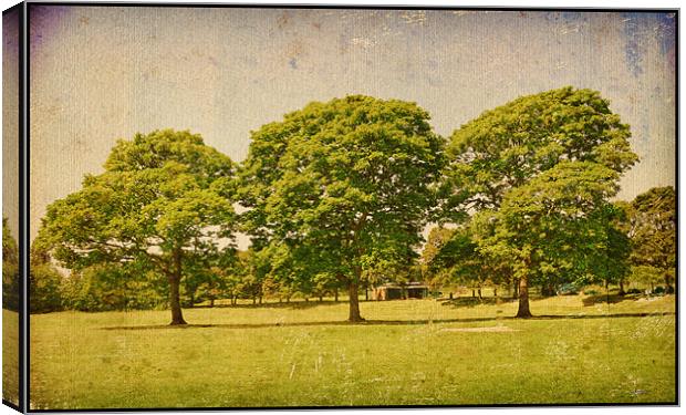 Beautiful Green Trees!! Canvas Print by Nadeesha Jayamanne