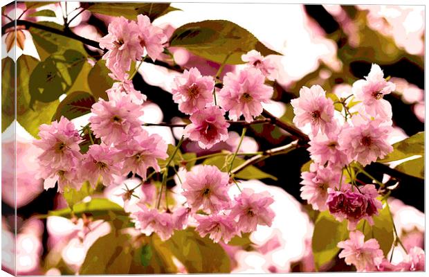 Cherry Blossoms VIII Canvas Print by Nadeesha Jayamanne