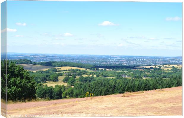 Clent Hills! Canvas Print by Nadeesha Jayamanne