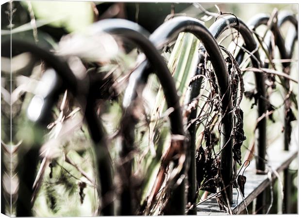 Wrought Iron Fence Canvas Print by Jon Mills