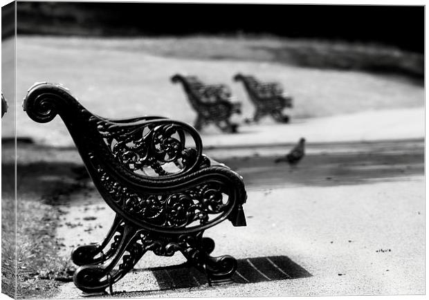 Sefton Park Bench Canvas Print by Colin Keown