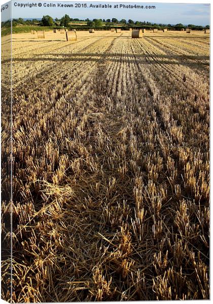  Hay Bail Farming Canvas Print by Colin Keown
