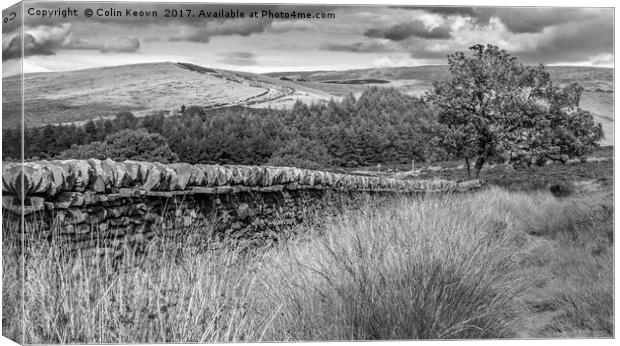 Goyt Valley Canvas Print by Colin Keown