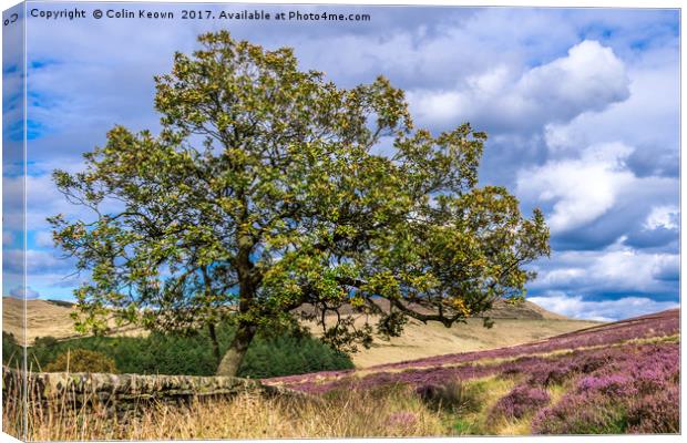 Goyt Valley Canvas Print by Colin Keown