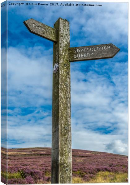 Goyt Valley Signpost Canvas Print by Colin Keown