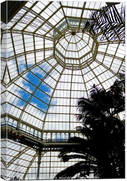 Palm House Canvas Print by Colin Keown