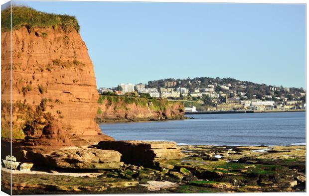 View of Torquay from Paighton Canvas Print by Bryan 4Pics