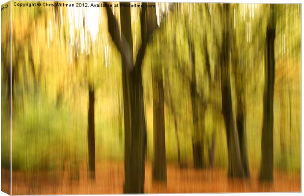 Autumn Woods Canvas Print by Chris Willman