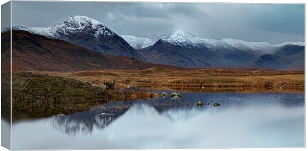 Scottish Highland Canvas Print by Chris Willman