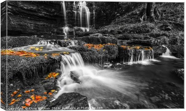 Scaleber Force Canvas Print by Chris Willman