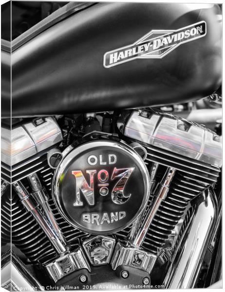 Harley Canvas Print by Chris Willman