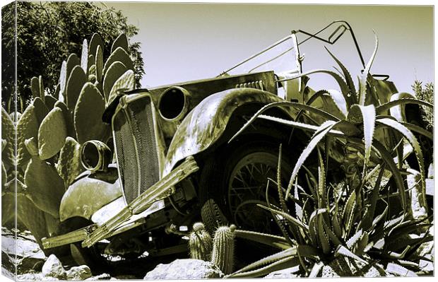 Old Car Canvas Print by Jan Venter