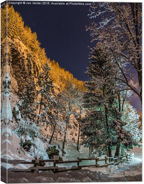  Wonderland Canvas Print by Jan Venter