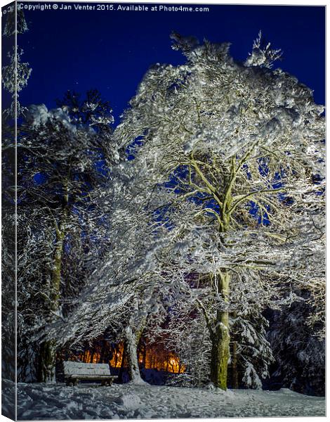  Glowing White Canvas Print by Jan Venter