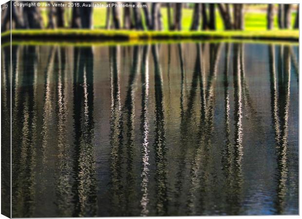  Rippling Trees Canvas Print by Jan Venter