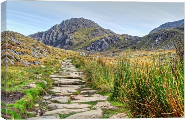 Pathway To Tryfan Canvas Print by austin APPLEBY
