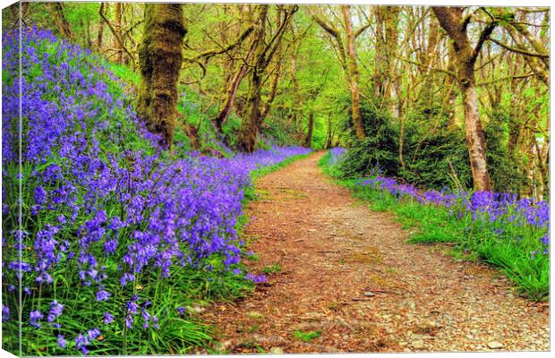 Ashcombe Woods Bluebells Exmoor Somerset Canvas Print by austin APPLEBY