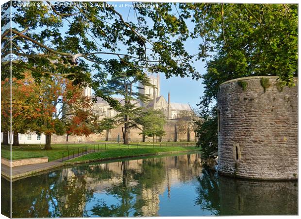 wells cathedral moat and bishopspalace Canvas Print by austin APPLEBY