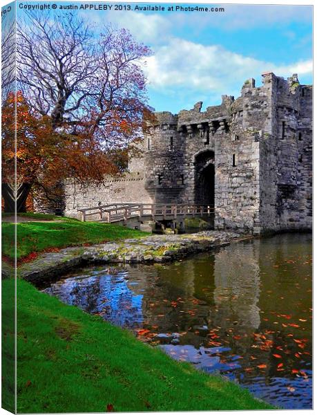 FALLING LEAVES AT BEAUMARIS CASTLE Canvas Print by austin APPLEBY