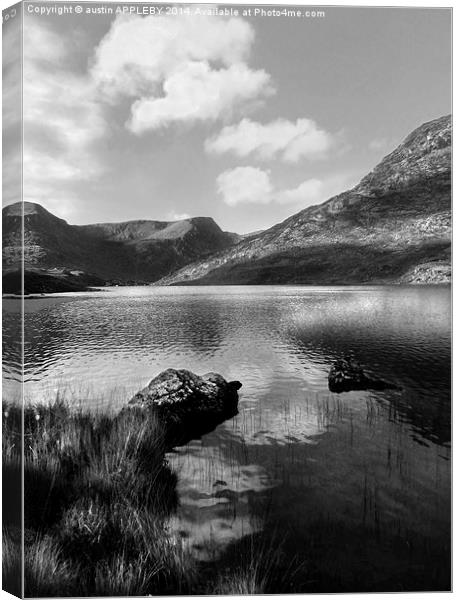 BLACK & WHITE LLYN OGWEN SNOWDONIA Canvas Print by austin APPLEBY