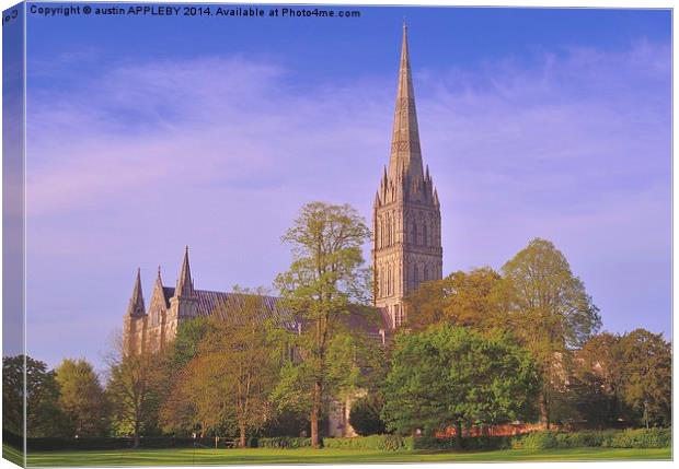 SALISBURY CATHEDRAL SPIRE Canvas Print by austin APPLEBY