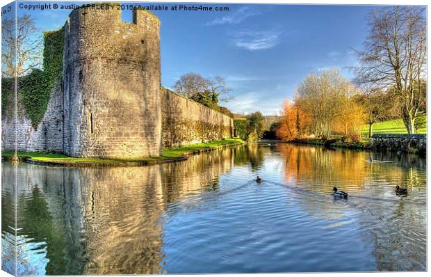 Ducks On The Moat Canvas Print by austin APPLEBY