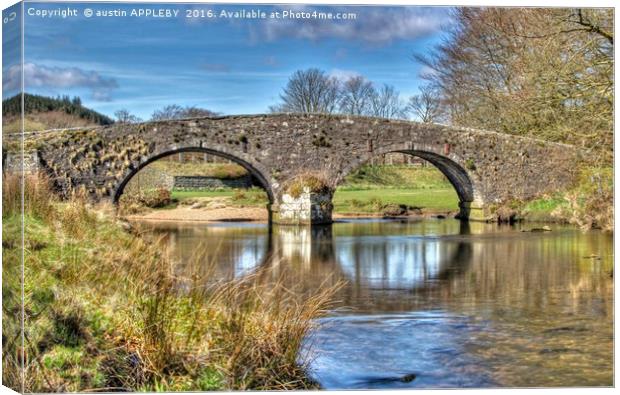 Two Bridges Old Bridge Dartmoor Canvas Print by austin APPLEBY