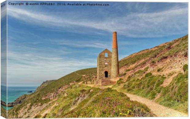 Pathways To Wheal Coates Canvas Print by austin APPLEBY