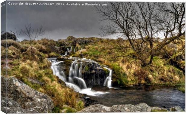 Black Tor Falls Dartmoor  Canvas Print by austin APPLEBY