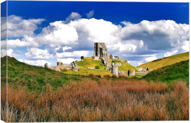 Corfe Castle Dorset At Spring Canvas Print by austin APPLEBY