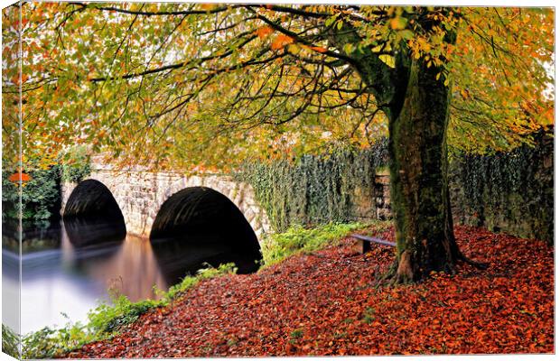 Autumnal Abbey Bridge Tavistock Devon Canvas Print by austin APPLEBY