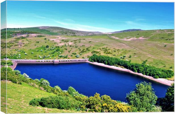 Meldon Reservoir Okehampton Dartmoor Canvas Print by austin APPLEBY