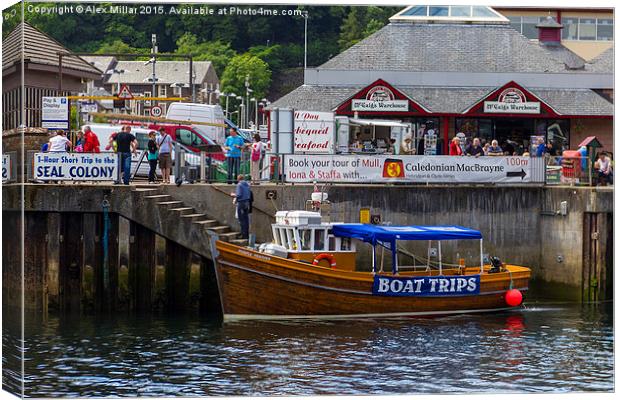  Oban Boat Trip Canvas Print by Alex Millar