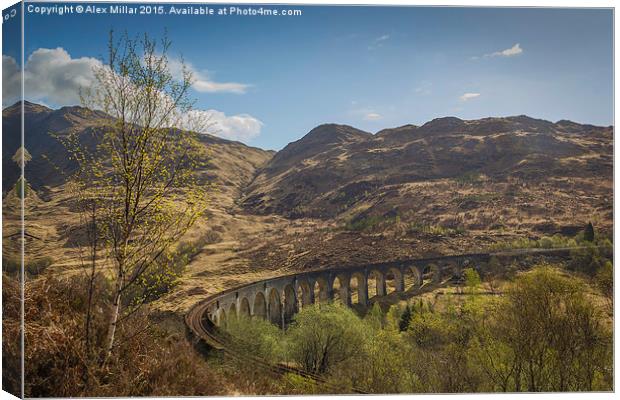  Glenfinnan Viaduct Canvas Print by Alex Millar