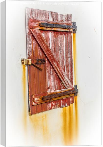 Rusted Window Canvas Print by Alex Millar