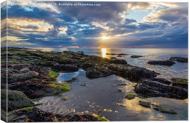 West Beach Sunset Canvas Print by Alex Millar