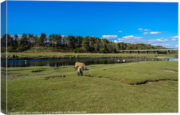 Life by the River Canvas Print by Jane Metters