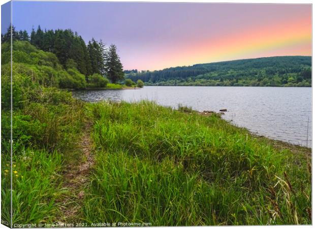 A Quiet Spot Canvas Print by Jane Metters