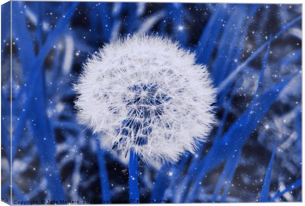 Dandylion Seeds                          Canvas Print by Jane Metters