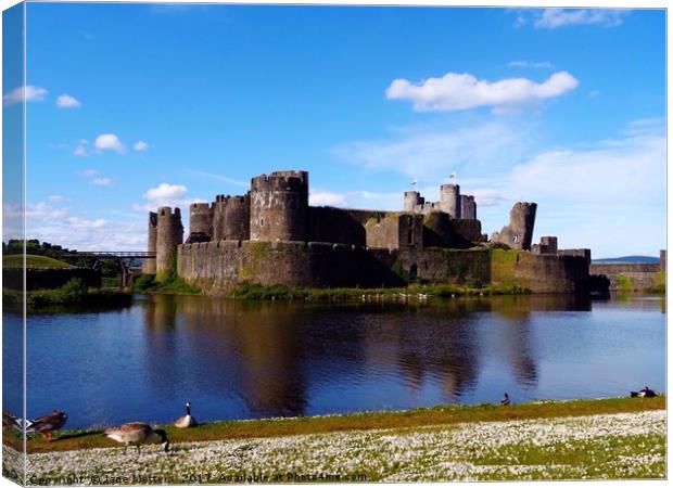A View of Caerphilly Castle  Canvas Print by Jane Metters