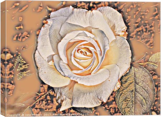Cream Rose Art Canvas Print by Jane Metters