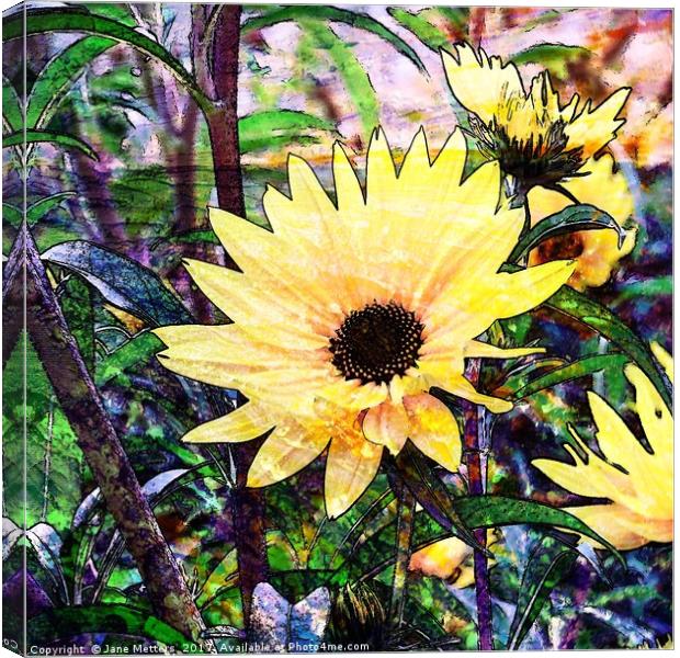 Magical Garden Canvas Print by Jane Metters