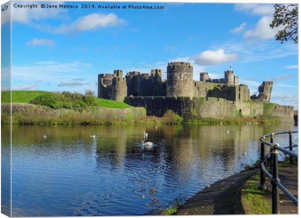Caerphilly Castle Wildlife Canvas Print by Jane Metters