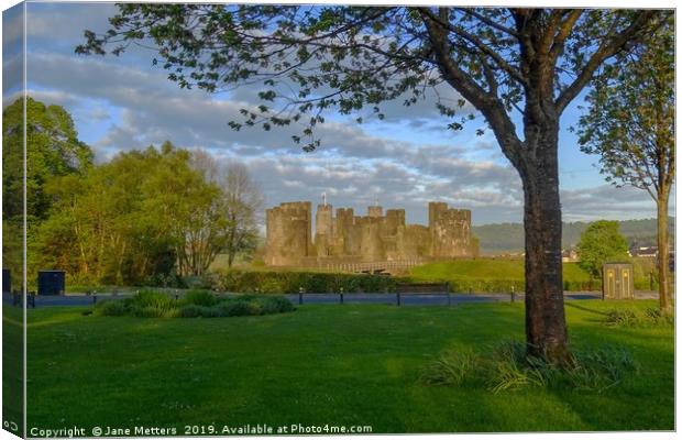 A View of the Castle Canvas Print by Jane Metters