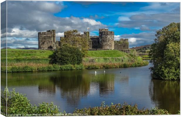 A Magnificent Castle Canvas Print by Jane Metters